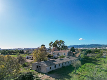 Apartment in Palma - Establiments
