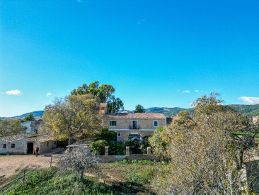 Apartment in Palma - Establiments — photo 2