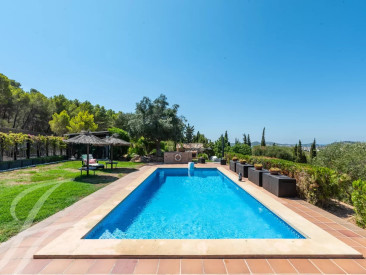 Finca in Palmanova — photo 2