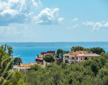 Apartment for sale in Bendinat - V1263SP