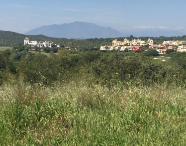 Land for sale in Sotogrande - MPP5265