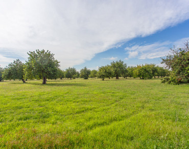 Solar for sale in Palma - 36592