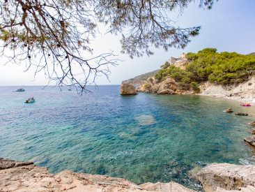 House in Camp de Mar — photo 6