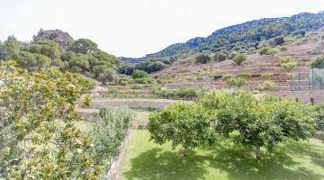 Villa for sale in Esporles, Balearic Islands €25.000.000 — photo 2 of 33