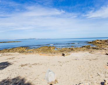 Solar for sale in Colonia de San Pedro - 8220
