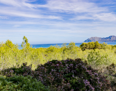 Solar for sale in Son Serra de Marina - 8217