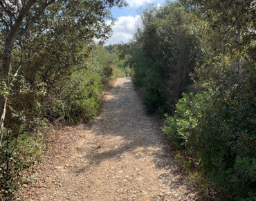 Solar for sale in Manacor - 7621