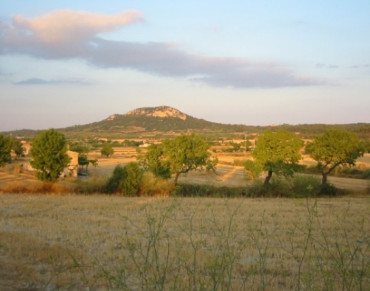 Solar for sale in Sineu - 5605