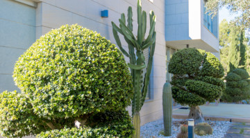 Villa for sale in Puntiró, Palma €4.995.000 — photo 4 of 35