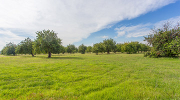 Villa for sale in Palma, Balearic Islands €6.995.000 — photo 3 of 14