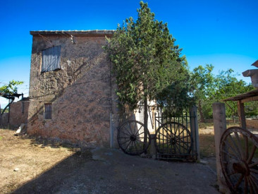 House in Palma - Puntiró — photo 4