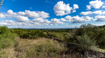 Villa for sale in Manacor, Balearic Islands €705.000 — photo 2 of 10
