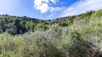 Villa for sale in Manacor, Balearic Islands €705.000 — photo 3 of 10