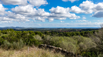 Villa for sale in Manacor, Balearic Islands €705.000 — photo 4 of 10