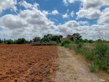 House in Llucmajor — photo 5