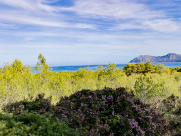 House in Son Serra de Marina