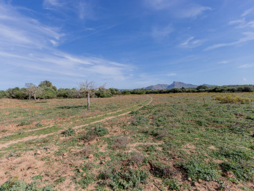 House in Son Serra de Marina — photo 3