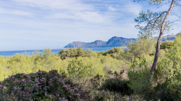 Villa for sale in Son Serra de Marina, Balearic Islands €637.000 — photo 4 of 14