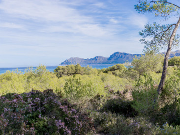 House in Son Serra de Marina — photo 4