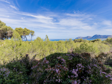 House in Son Serra de Marina — photo 5