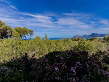 House in Son Serra de Marina — photo 6