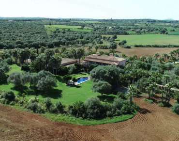 Villa for sale in Santa Margalida - TA8878