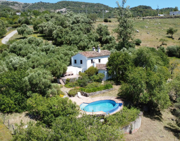 3 Bedroom Country House