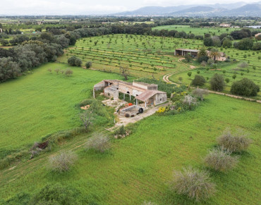 Land for sale in Binissalem - TA9498