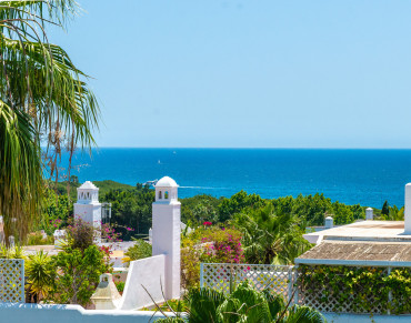 House for sale in Marbella Golden Mile, Golden Mile, Marbella - W-0306X6