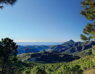 Land for sale in La Zagaleta, Benahavís - DM3686