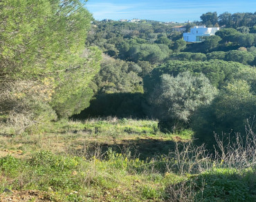 Land for sale in Sotogrande - DM4969-01