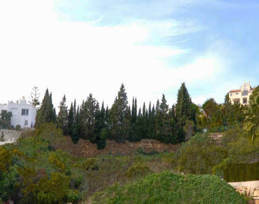 Land for sale in Paraiso Alto - W-024IJM