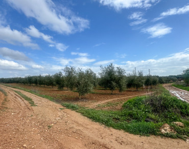 Land for sale in Mollina - 428-04187P
