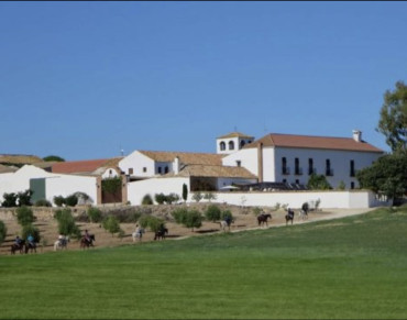Finca for sale in Mollina - 428-04366P