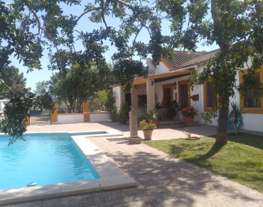 Finca for sale in Moron de la Frontera - 428-04790P