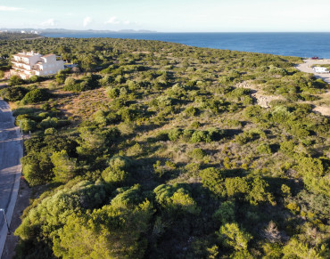 Land for sale in Felanitx - TA9526B