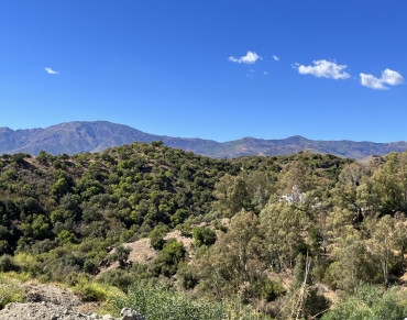 Land for sale in Estepona East, La Panera, Estepona - PANR-14701