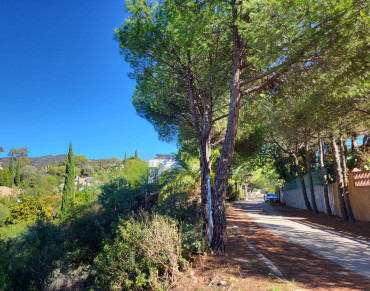 Land for sale in Elviria - W-02TMMZ