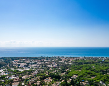 Villa for sale in Marbella East, Hacienda las Chapas, Marbella - W-02TIKE