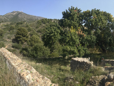 Plot / Land in Mijas — photo 4