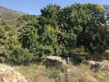 Plot / Land in Mijas — photo 6