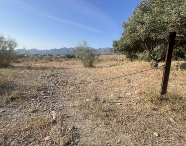 Land for sale in Alhaurin de la Torre - P5104018