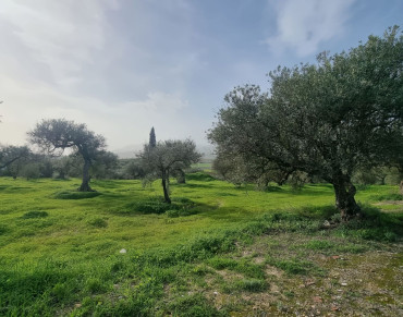 Land for sale in Alhaurín el Grande - P4907803