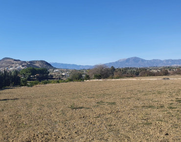 Land for sale in Alhaurín el Grande - P4566685