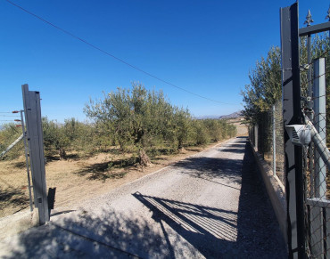 Land for sale in Alhaurín el Grande - P4566472