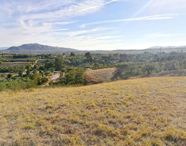 Land for sale in Alhaurín el Grande - P4431565
