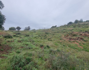 Land for sale in Coín - P5009152