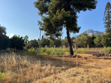 Plot / Land in Marbella — photo 3