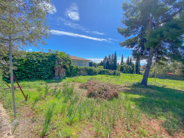 Plot / Land in Marbella — photo 4