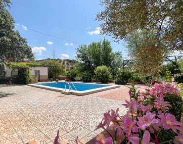 Finca for sale in Antequera - 428-01498P